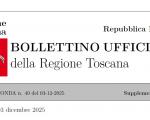 Statuto Unione Valdera pubblicato su BURT Parte Seconda n.49 del 03/12/2025 - Supplemento n.285